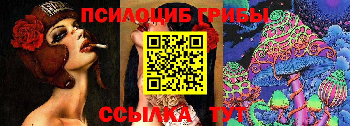 Псилоцибиновые грибы Psilocybine cubensis  Псилоцибиновые грибы Cubensis  Вход с VPN  Тольятти 