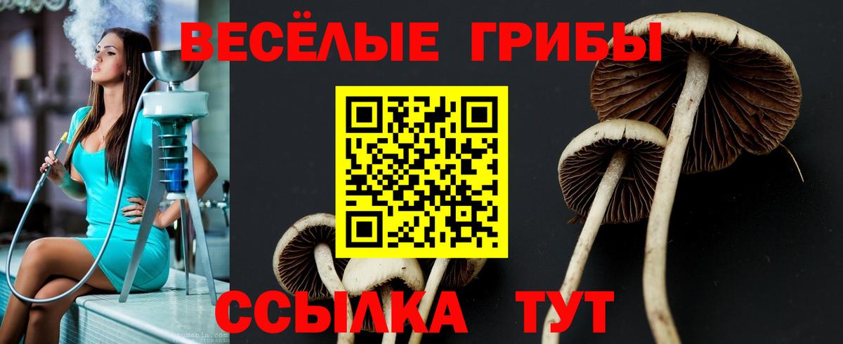 Галлюциногенные грибы мухоморы Тольятти